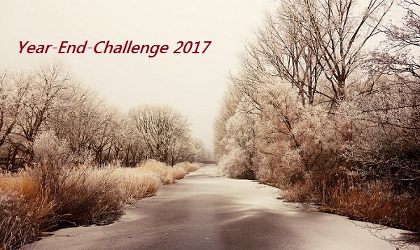 [Buch Challenge] Year-End 2017