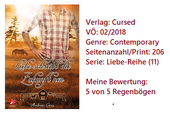 Liebe schreibt die Zukunft neu - Andrew Grey