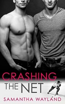 Crashing the Net – Samantha Wayland