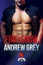 Fire and Snow - Andrew Grey