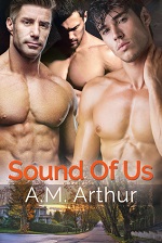 Sound of Us - A.M. Arthur