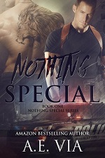 Nothing Special – A.E. Via