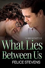 What Lies Between Us - Felice Stevens